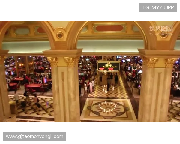 澳门十大赌场娱乐场所排名，探索最具特色的博彩娱乐空间