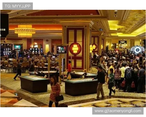 澳门十大赌场详细介绍，涵盖游戏种类、环境氛围及客户服务质量分析