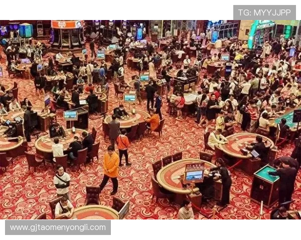 澳门赌场不同年龄段玩家的风险偏好与投注策略研究